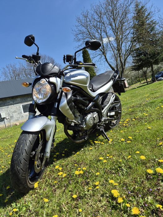 Suzuki gladius 650
