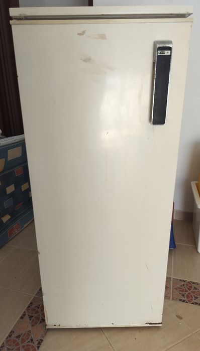 Arca congeladora vertical Lec
