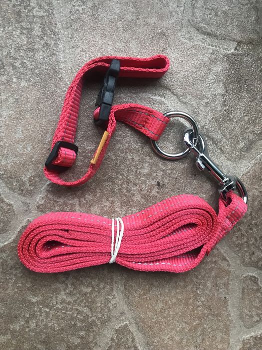 Повідець для собак