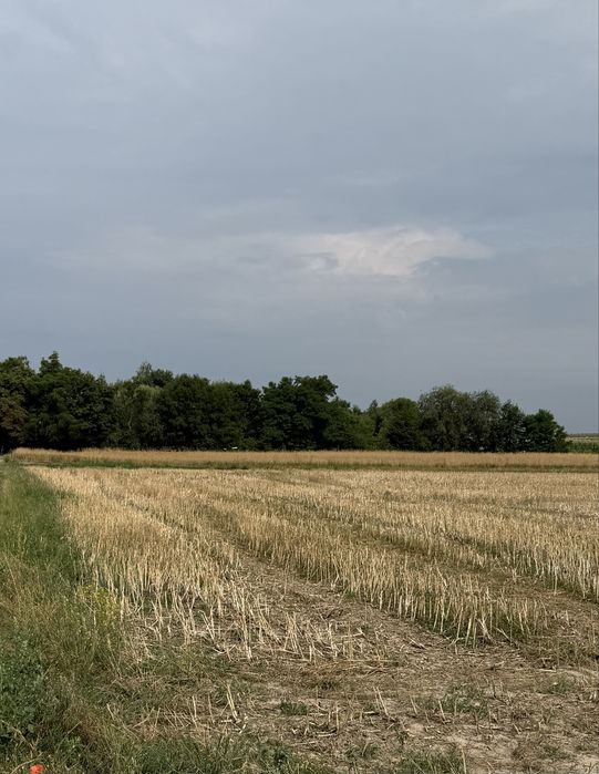 Działka budowlana  z potencjałem \ MPZP\ blisko lasu \ cicha okolica \ Niemil \ Oława