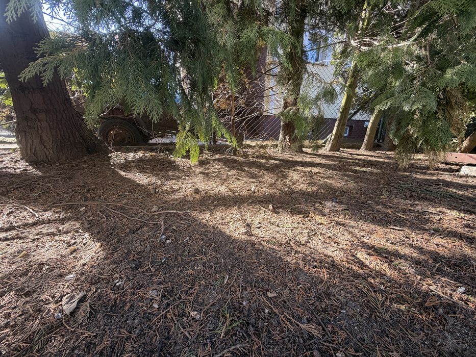 Oddam na opał bardzo duże