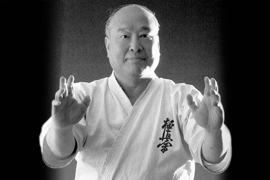 Занятия боевыми искусствами 2 человека (мальчики и девочки)