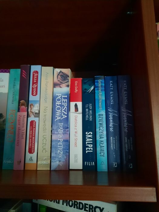 Książka Diablica z Wall Street