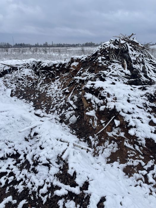 Перегнивша тирса