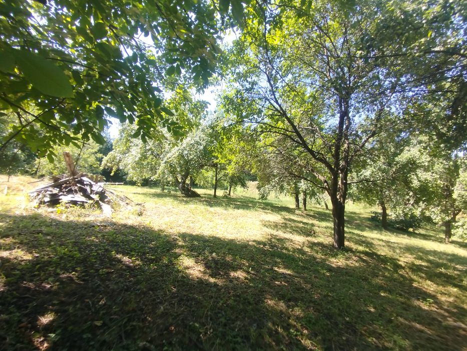 Будинок, 0,45 га землі, біля Карпат, недалеко до міста