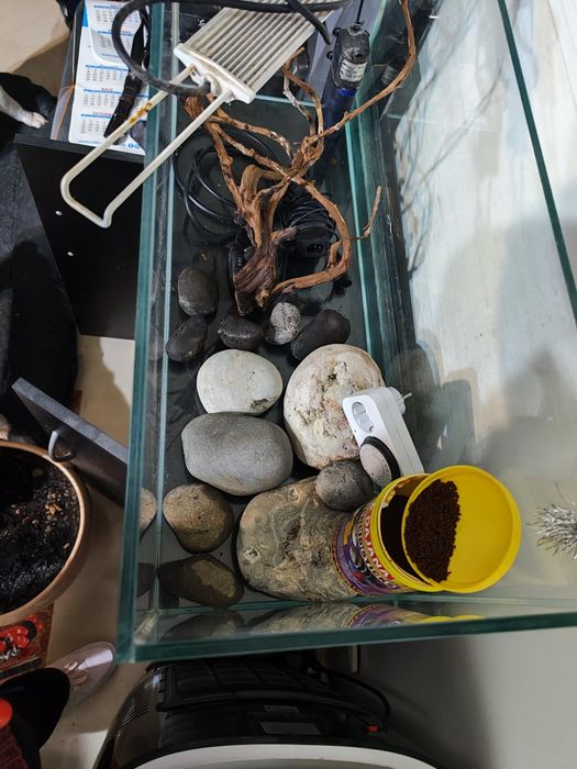 Aquário completo - vidro extra claro (ler descrição)