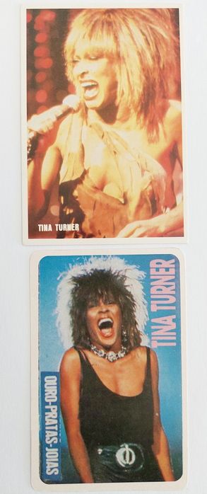 TINA Turner - 12 calendários