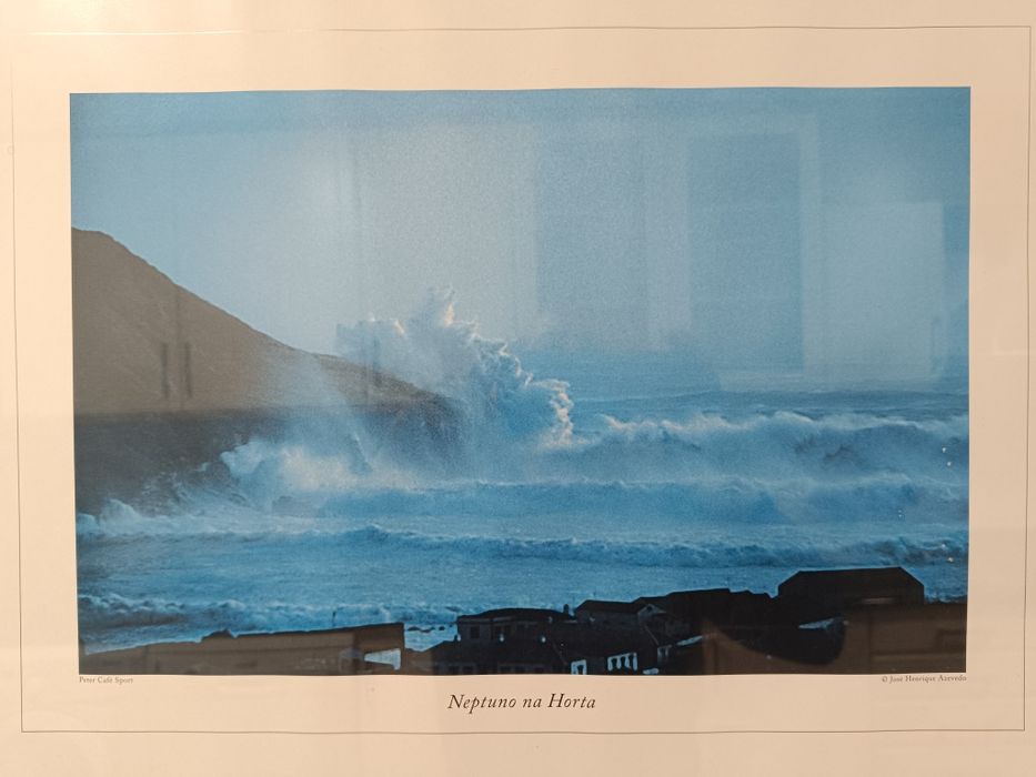 Neptuno na Horta