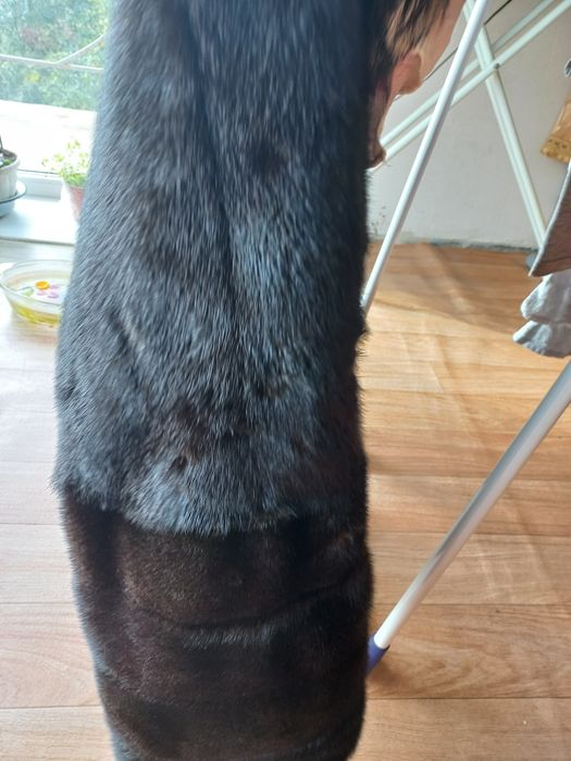 Полушубок норка автоледи