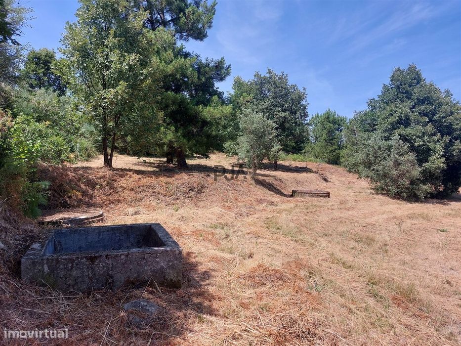 Terreno Rústico em Fornos de Algodres