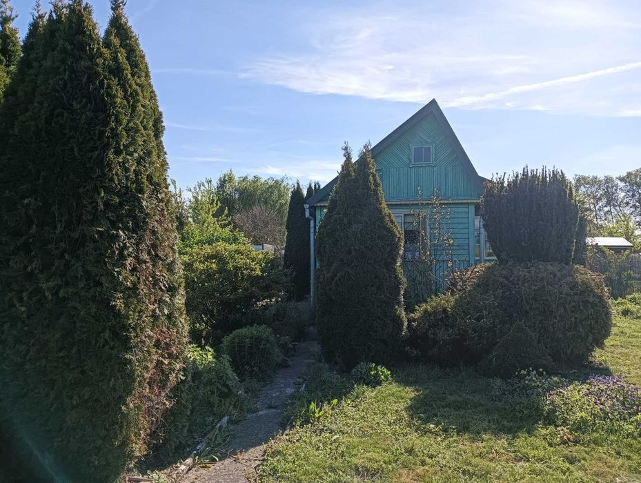 Działka ROD Tulipan Biała Podlaska - Widok 3