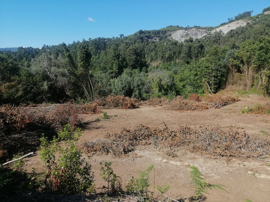 Terreno Rústico (cultivo)