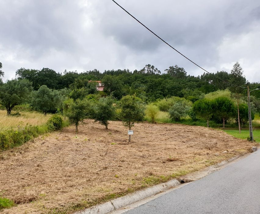 Terreno Urbanizável em Casal da Ordem, Vermoil, Pombal