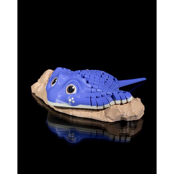 Ray the Manta Ray3D