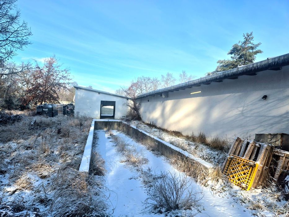 Hala magazynowa chłodnia rampa