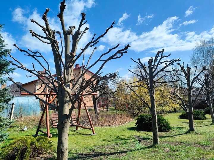 Usługa do działek, ogrodów i prac przydomowych + odśnieżanie.