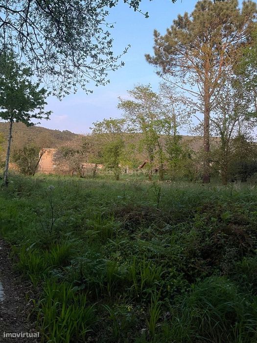 Terreno, Afife