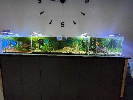 Sprzedam akwarium 190x32x30