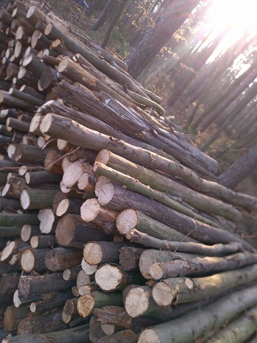 Drewno opałowe - gałęziówka GRAB