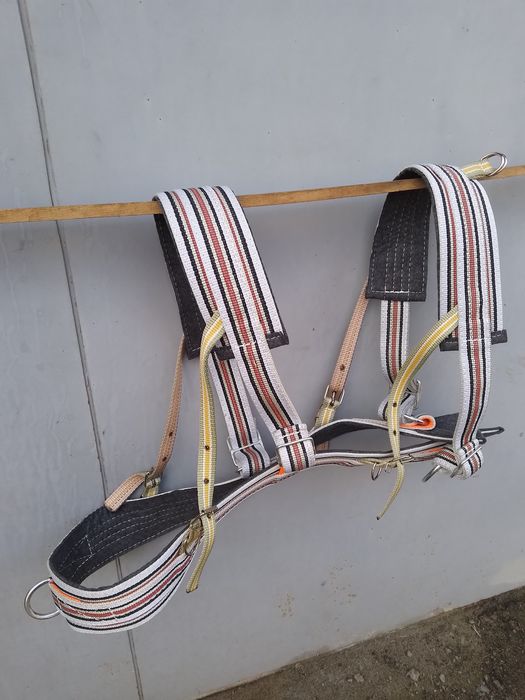 Вуздечка капейстра для коня