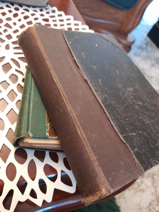 Stara książka Koń Na Wzgórzu 1920r