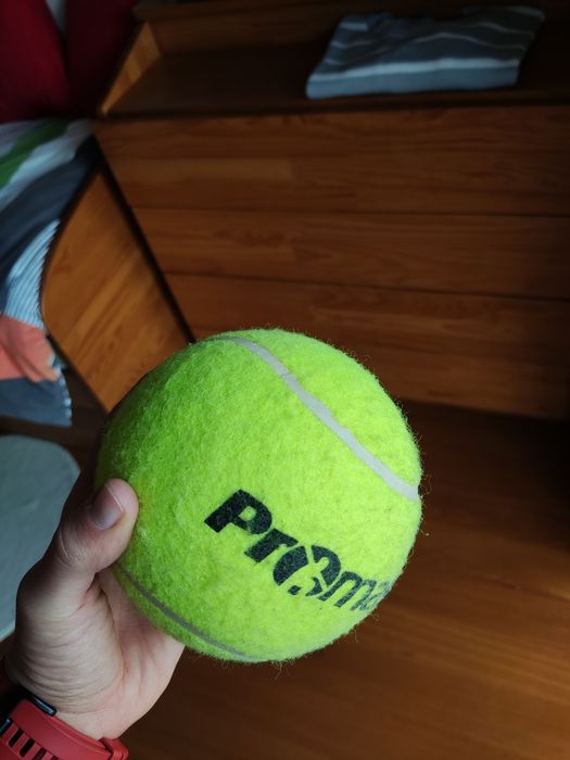 Bola Promaster (tamanho superior à de tenis)