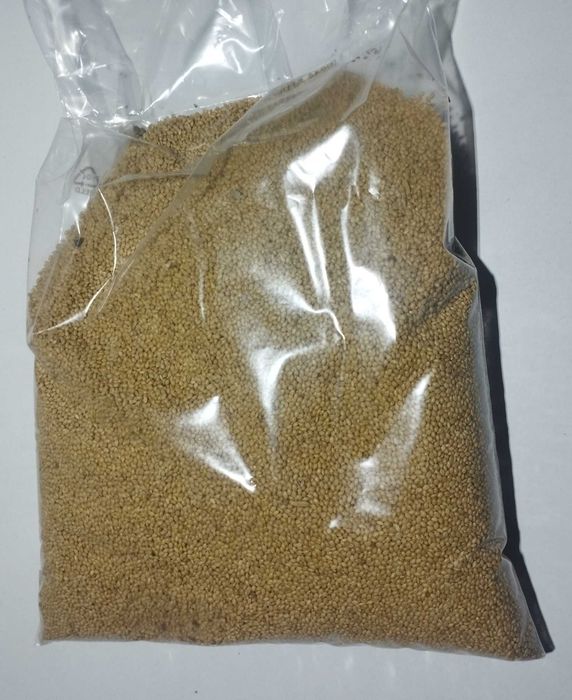 Sementes alimentação de aves, semear sementeira