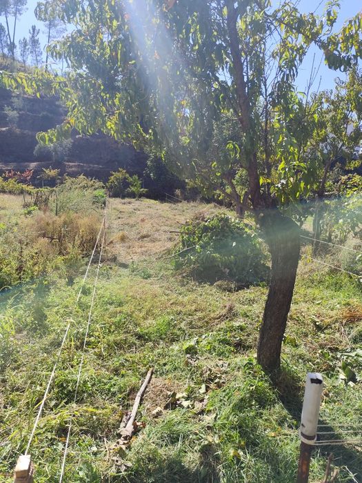 Terreno Pequeno Silvares