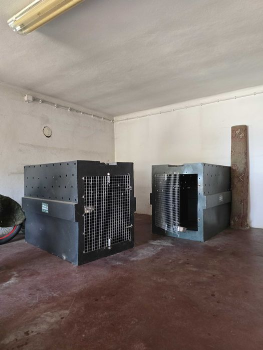 Caixas de transporte de cães para avião.