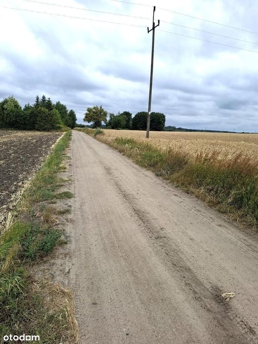 Działka, Grzebienisko