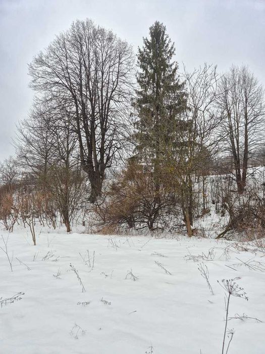 Будинок з ділянкою біля гір