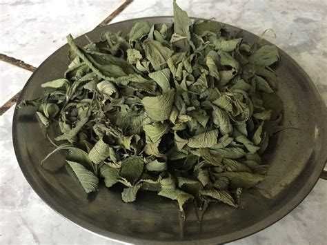 Erva Cidreira /Melissa officinalis Biológica Seca Saco 25g