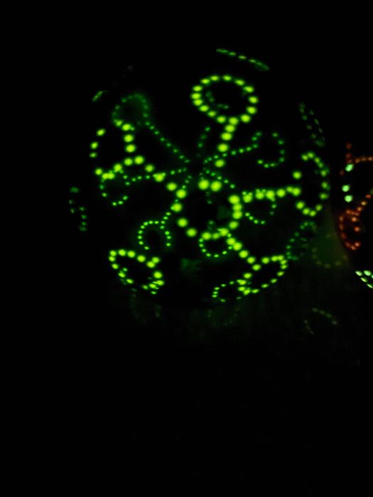 Ялинкові іграшки періоду СССР. Скло. Фосфорні