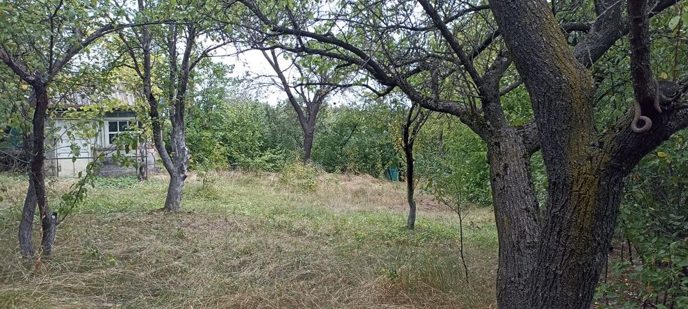 Ділянка 5.43 сот, Шкарівка Білоцерківський р-он