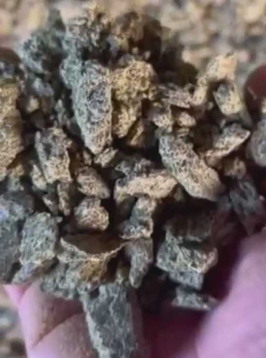 Продам макуху ріпакову ф2. З доставкою