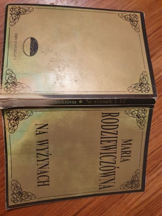 Na wyżynach - Maria Rodziewiczówna