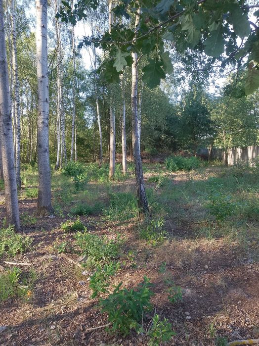 Działka budowlana Młodocin Większy