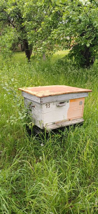 Продам вулики без бджіл