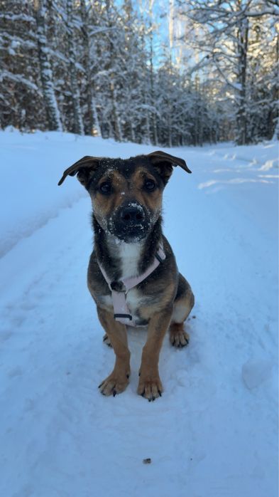 Zoja pilnie szuka domu