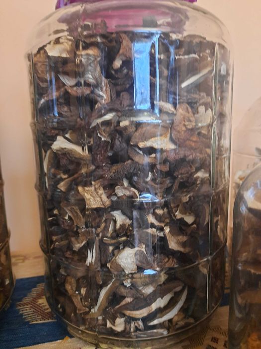 Grzyby suszone od grzyboznawcy