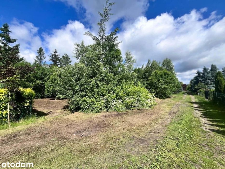 Działka budowlana 1288m² Rokitnica|przy lesie i stawie|Prąd na działce - Widok 5