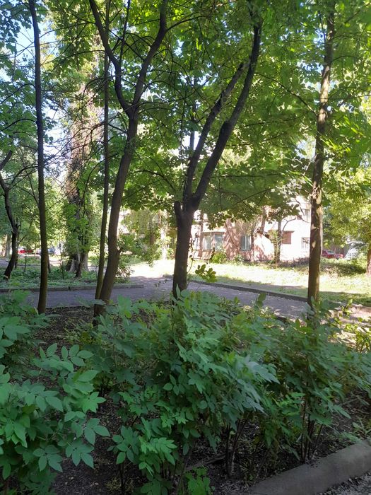 2кімнатна сталінка на 97 кварталі під бізнес і житло.