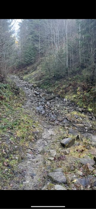 Приватна діоянка межує з лісом та струмком .