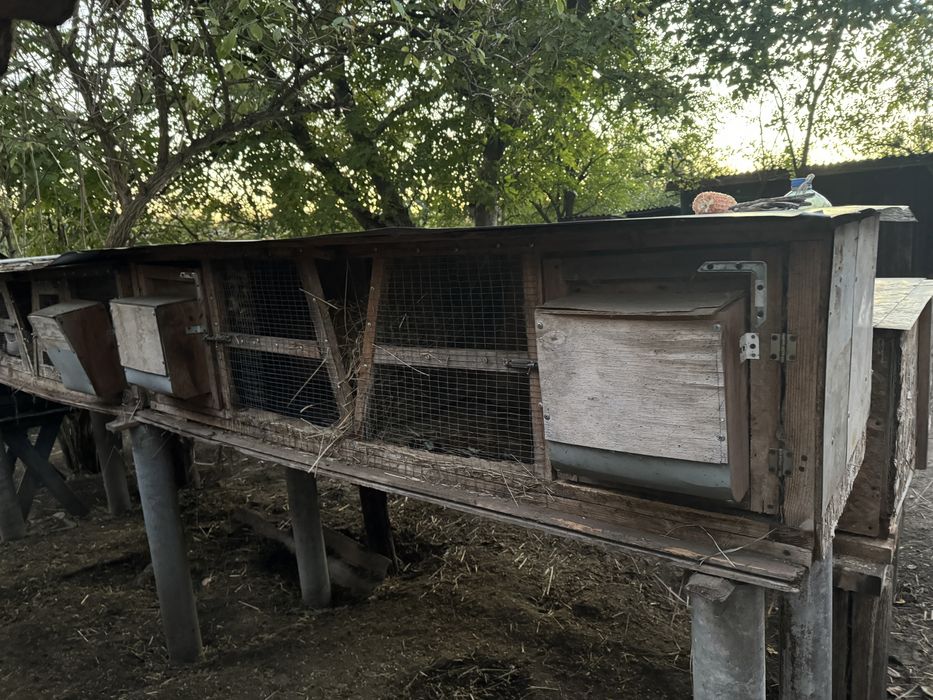 Клітки для кролів