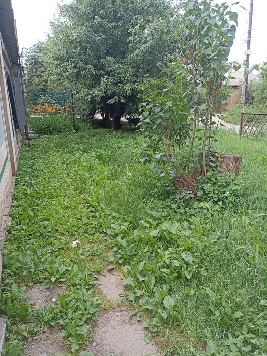 Частину будинку   р-н  Конкорда  .Центр міста .