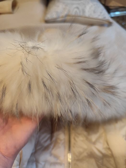 Kurto -plaazczyk  by o La la