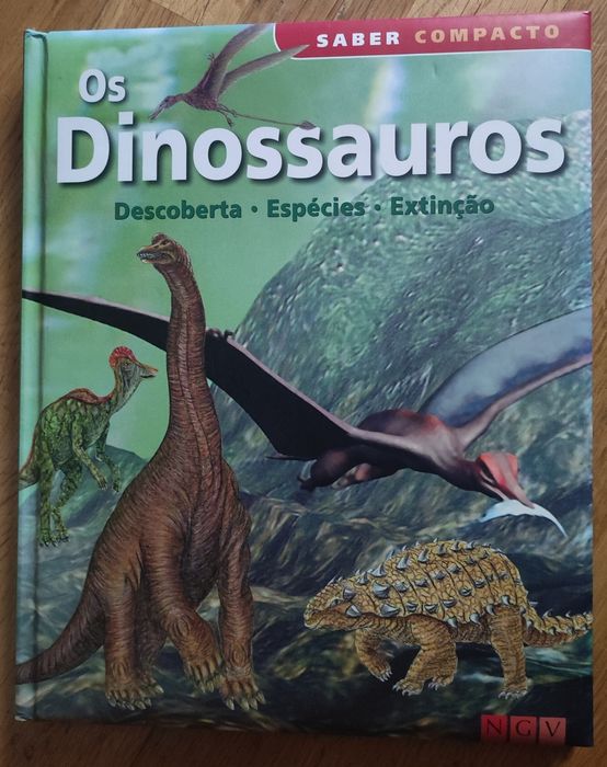 Livros juvenis a 6 euros