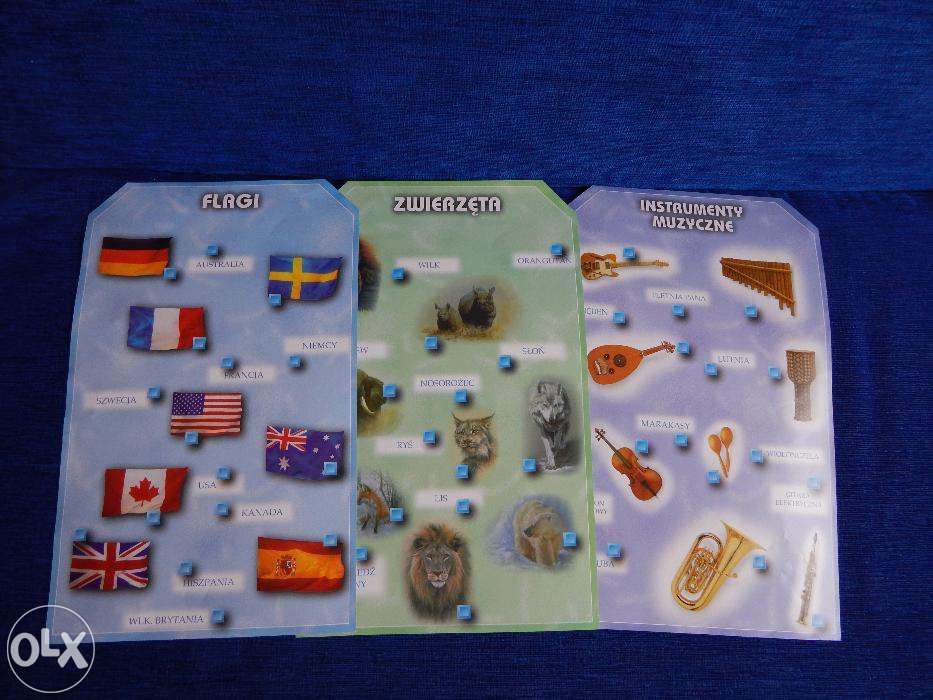 Gra edukacyjna, encyklopedia mózg elektronowy