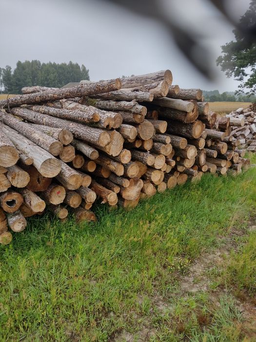 Drewno kominkowe opałowe