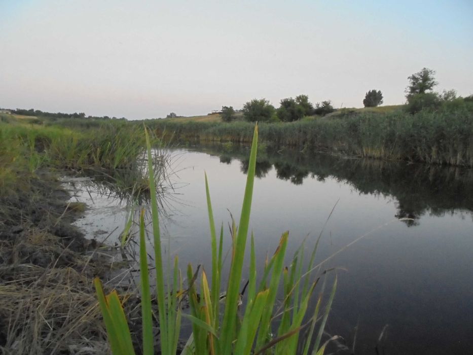 Аренда жилья бесплатно.